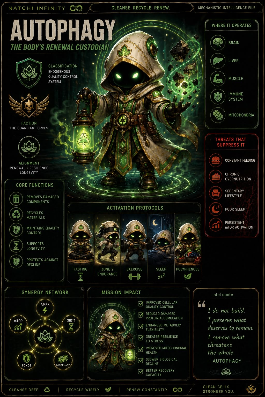 Natchi autophagy concept visual